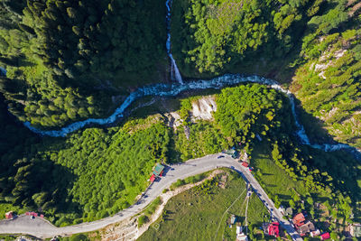 High angle view of road amidst trees