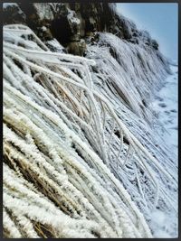 Snow covered landscape