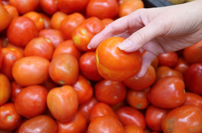 Woman's hand picking a fresh ripe tomato from its pile