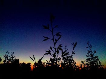 Silhouette of bare trees against sky at sunset