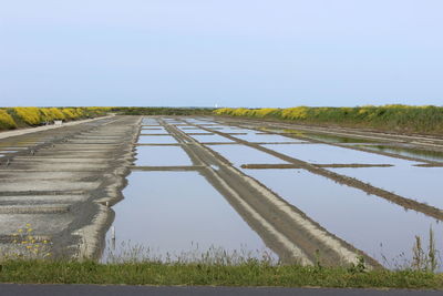 Scenic view of agricultural field against clear sky