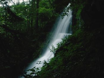 View of waterfall in forest