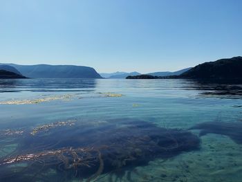 Just above the sea surface, looking at the horizon, underwater, idyllic landscape and natural light