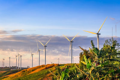 Wind turbines on field against sky