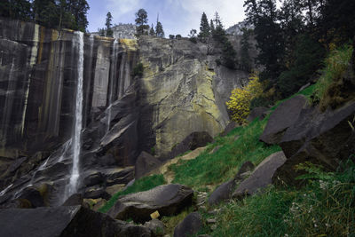 Scenic view of waterfall in forest