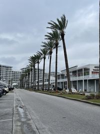 Road by palm trees against sky in city