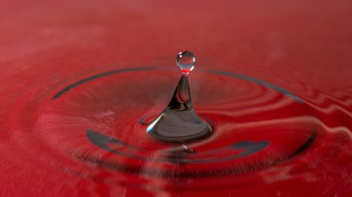 Close-up of water splashing on red flower