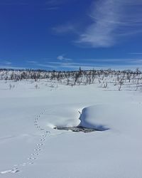 Scenic view of landscape against blue sky