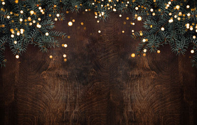 Close-up of christmas tree