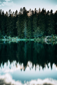 Reflection of trees in lake against sky
