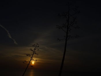 Low angle view of silhouette tree against sky at sunset