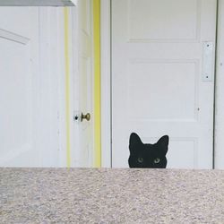 Low angle view of shoes in front of closed door