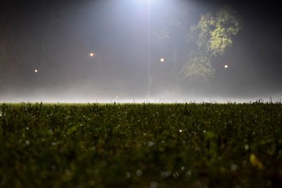 View of grassy landscape against scenic sky