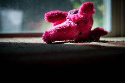 Close up of pink stuffed animal