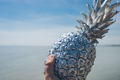 Cropped hand holding pineapple at beach