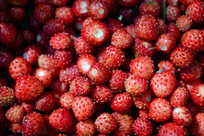 Full frame shot of wild strawberries at market