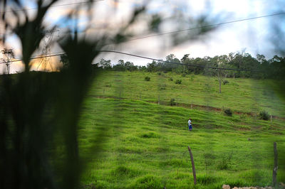 Scenic view of green landscape against sky