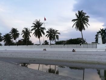 Palm trees by swimming pool against sky