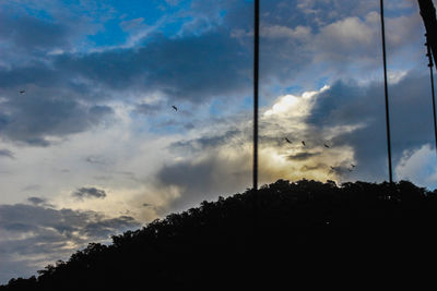 Low angle view of silhouette plants against sky during sunset