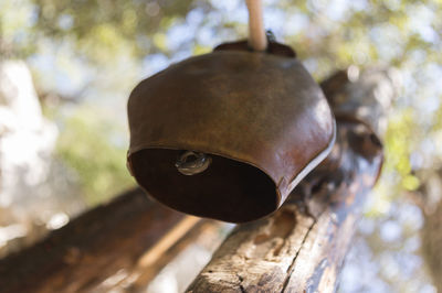 Close-up of old metal structure