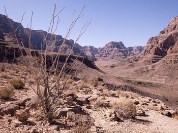 Scenic view of arid landscape against clear sky