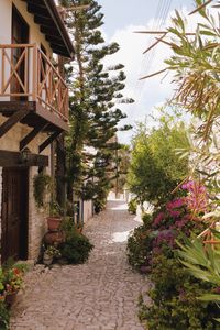 Footpath amidst flowering plants and trees by building against sky