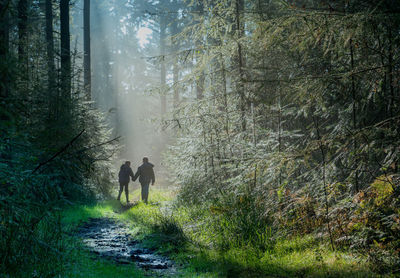 Rear view of people walking on footpath in forest