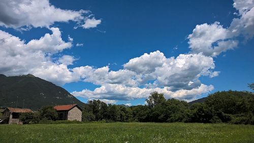 Trees on field against cloudy sky
