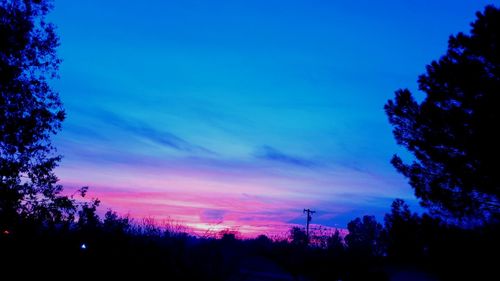 Low angle view of silhouette trees against sky at sunset