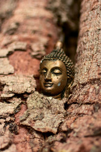 Close-up of buddha statue on tree trunk