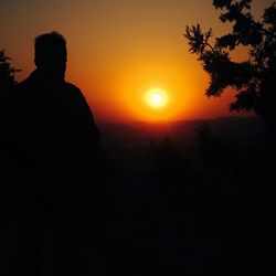 Silhouette of trees against sky during sunset