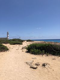 Plants growing on beach against blue sky