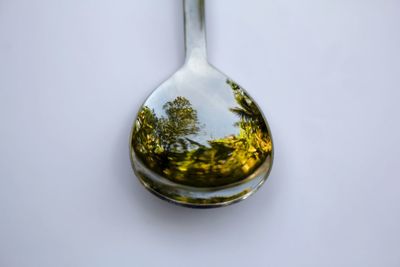 High angle view of food in bowl on white background