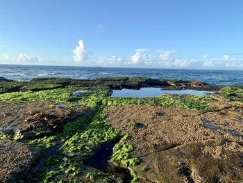 Scenic view of sea against sky