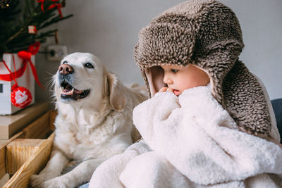 Cute child and his labrador retriever at home on the bed near the christmas tree