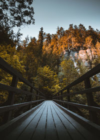 Footbridge amidst trees during autumn