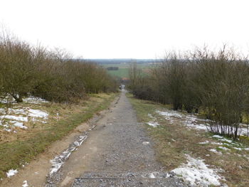 Road amidst bare trees against clear sky