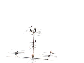 Low angle view of telephone pole against white background