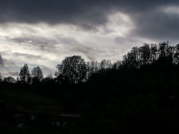 Low angle view of silhouette trees against sky