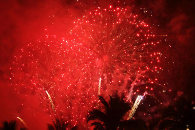 Low angle view of firework display at night