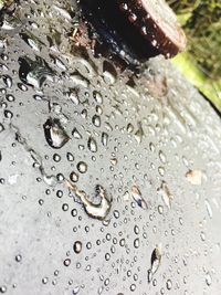 Close-up of wet bubbles