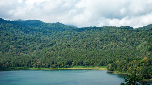 Scenic view of lake by trees against sky