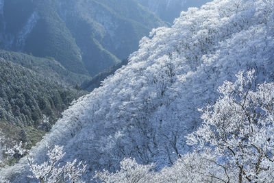 High angle view of snow covered landscape