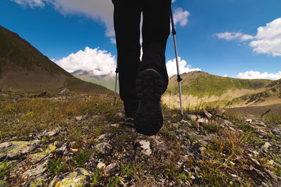 Hiking trail with flowers, green grass and stones. close up of hiking boots in the mountains against