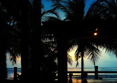 Silhouette palm trees on beach against sky