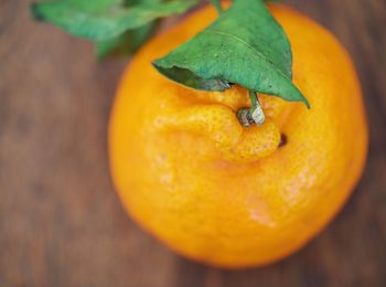 High angle view of orange on table