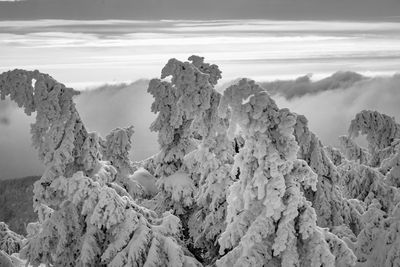 Scenic view of snow covered land against sky