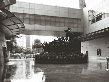 architecture