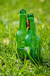 Close-up of wine bottles on grass