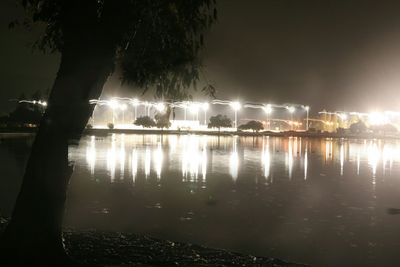 Reflection of trees in water at night